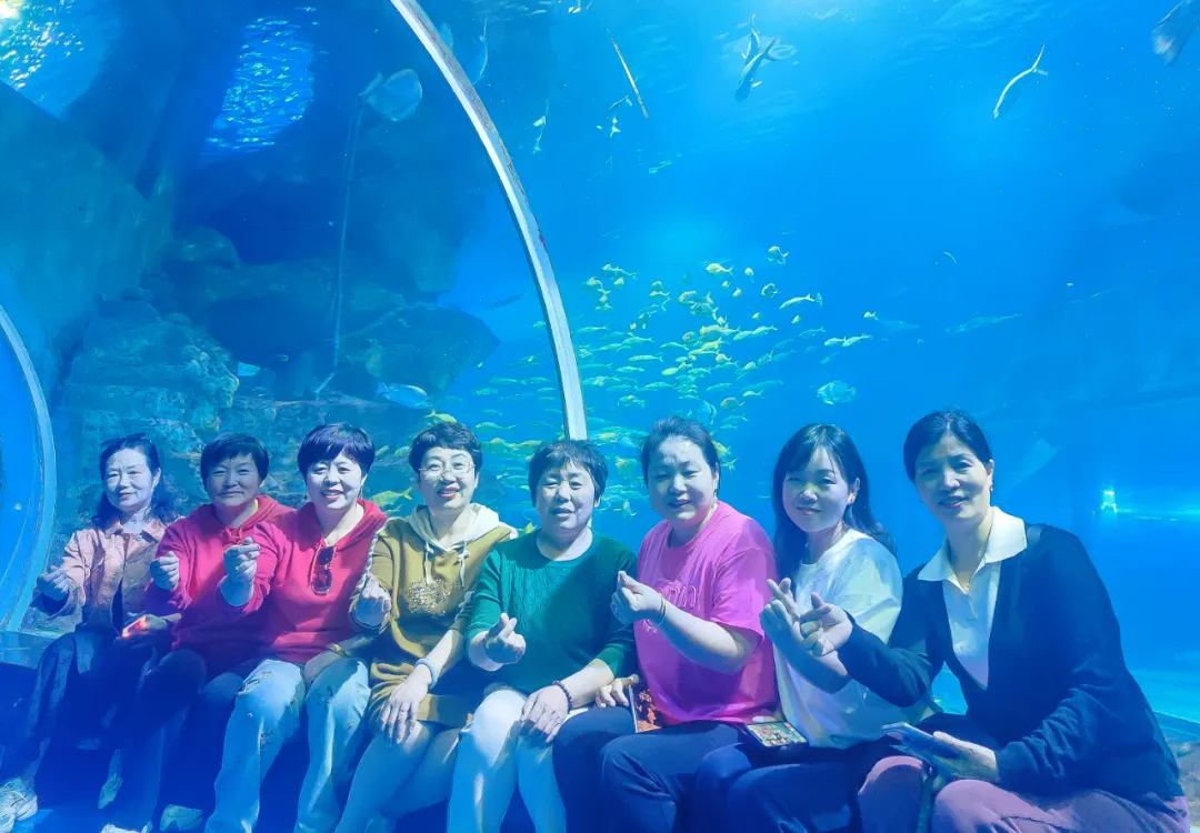 img upload - 0659f95a-7f8e-4bd6-b16f-fe062b21226b