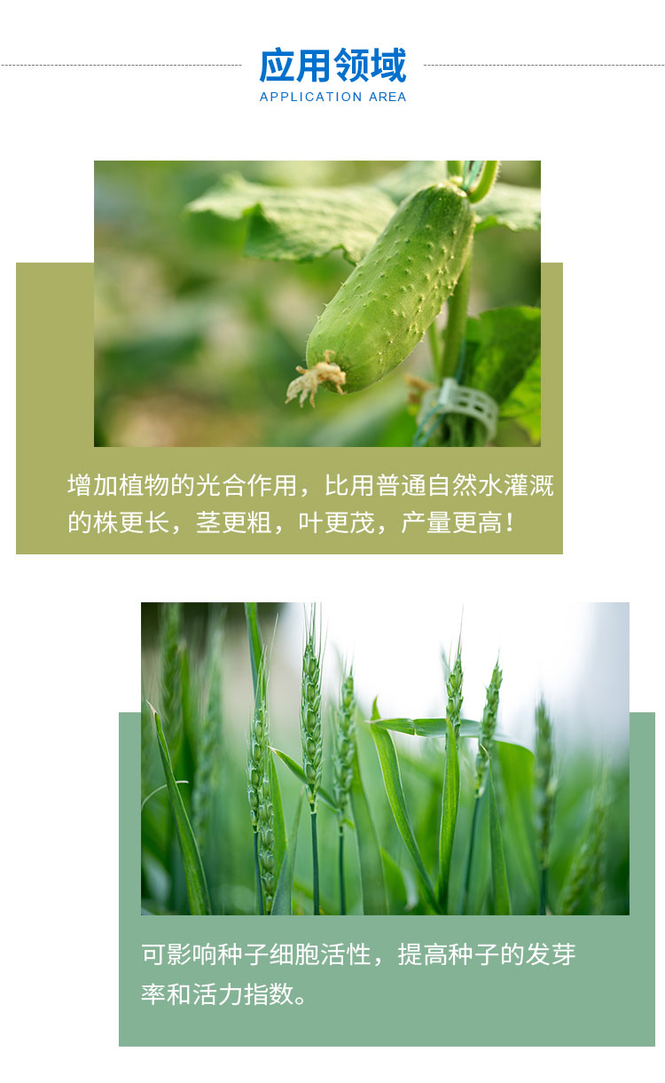 img upload - 303aa844-cfa5-48cf-96b4-a237ee934be0