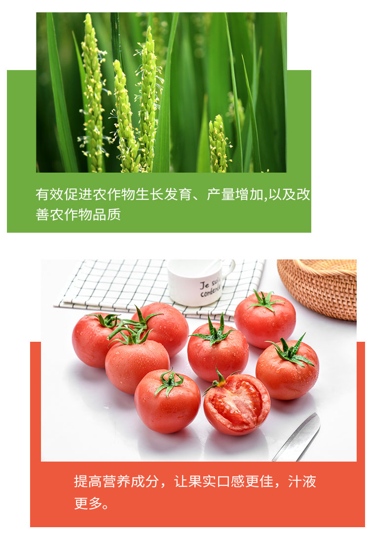 img upload - 99ec3d48-a10b-4bf4-8083-614ca7a50825